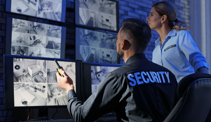 Security surveillance monitoring team